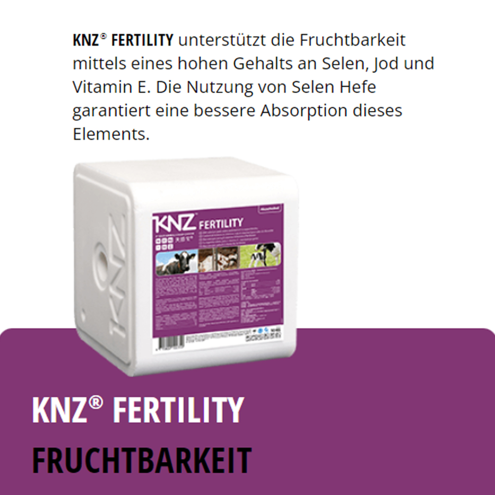 KNZ Fertility 10 kg Salzleckstein Fruchtbarkeit