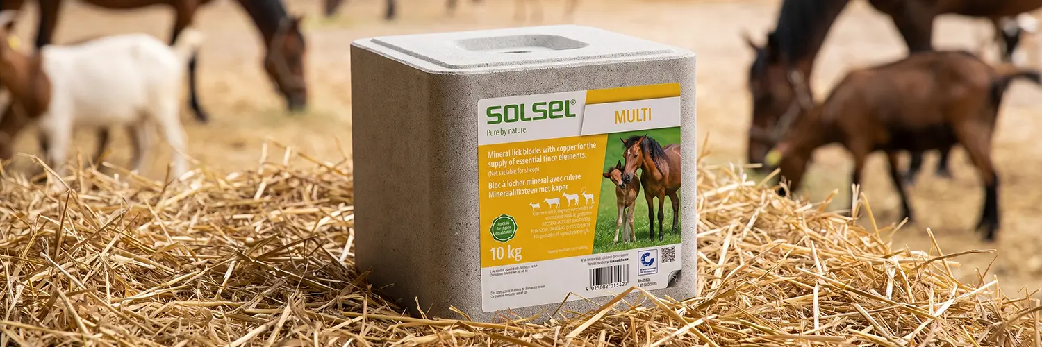 SOLSEL Multi Mineralleckstein mit Kupfer