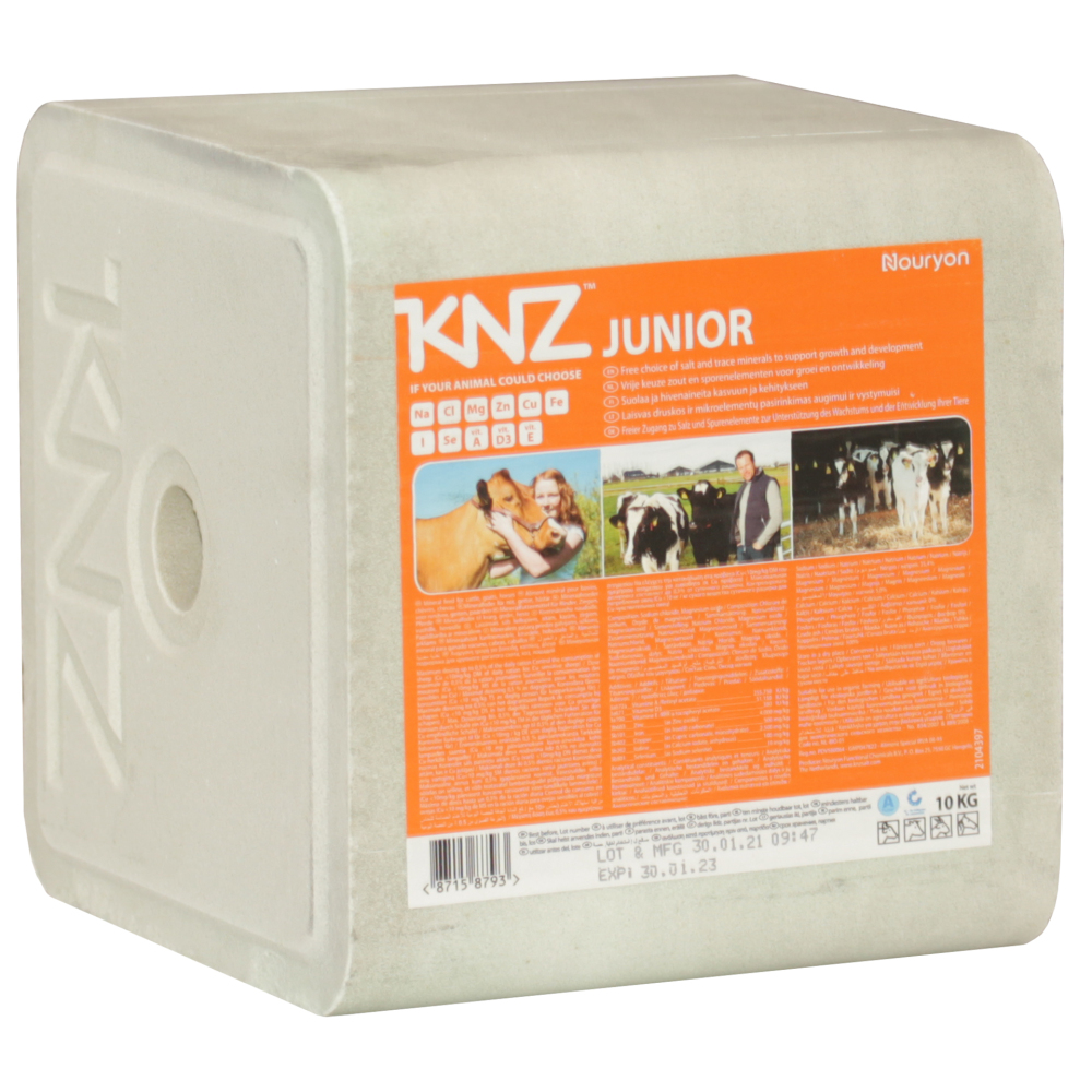 KNZ Junior 10 kg Salzleckstein Jungvieh