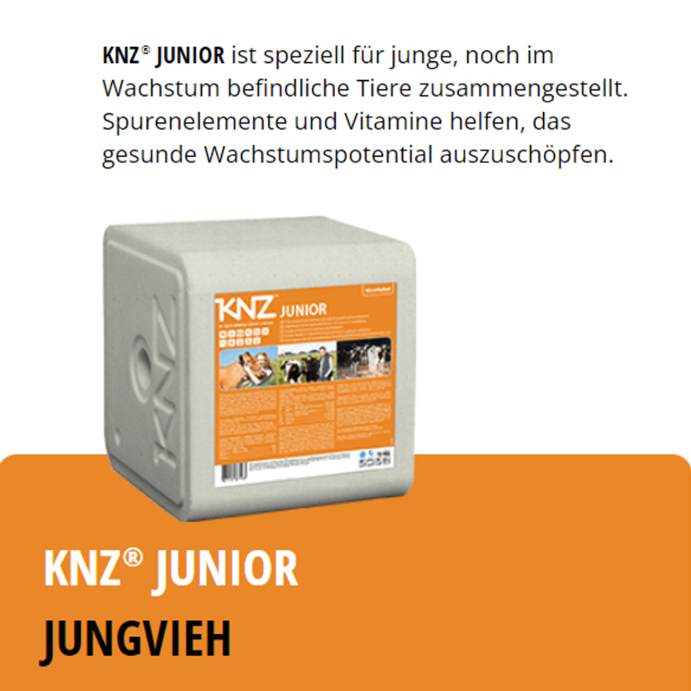 KNZ Junior 10 kg Salzleckstein Jungvieh