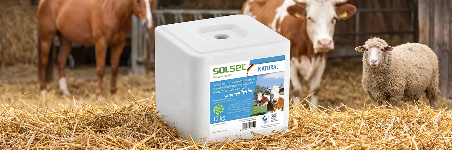 SOLSEL Natural Salzleckstein