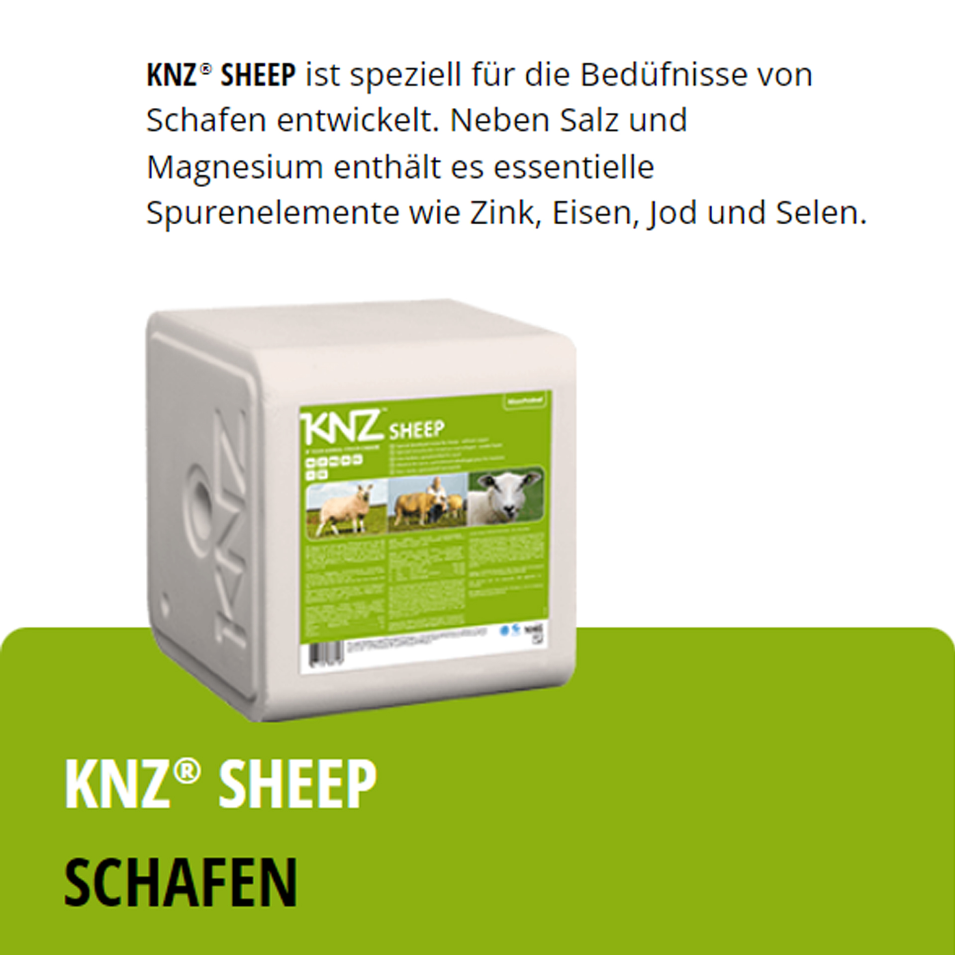 KNZ Sheep 40 kg Salzlecksteine Schafe