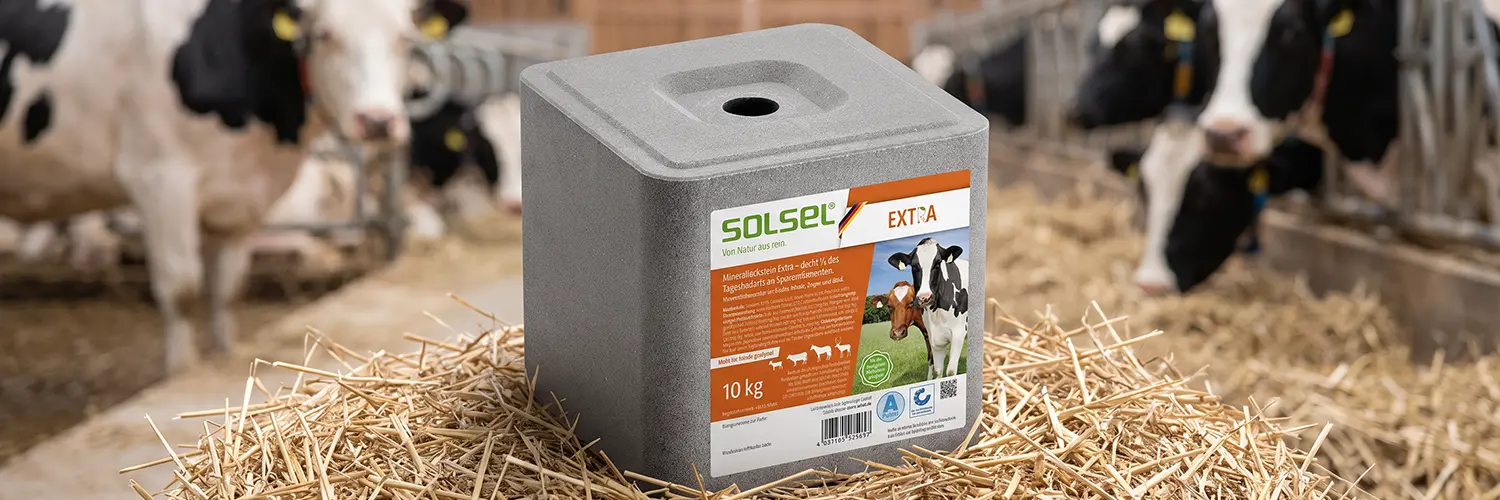 SOLSEL Extra Mineralleckstein