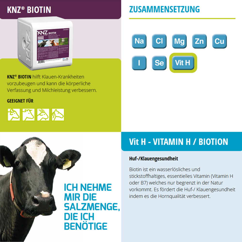 KNZ Biotin 10 kg Salzleckstein Huf und Klauentiere KNZ Biotin 10 kg Salzleckstein Huf und Klauentiere