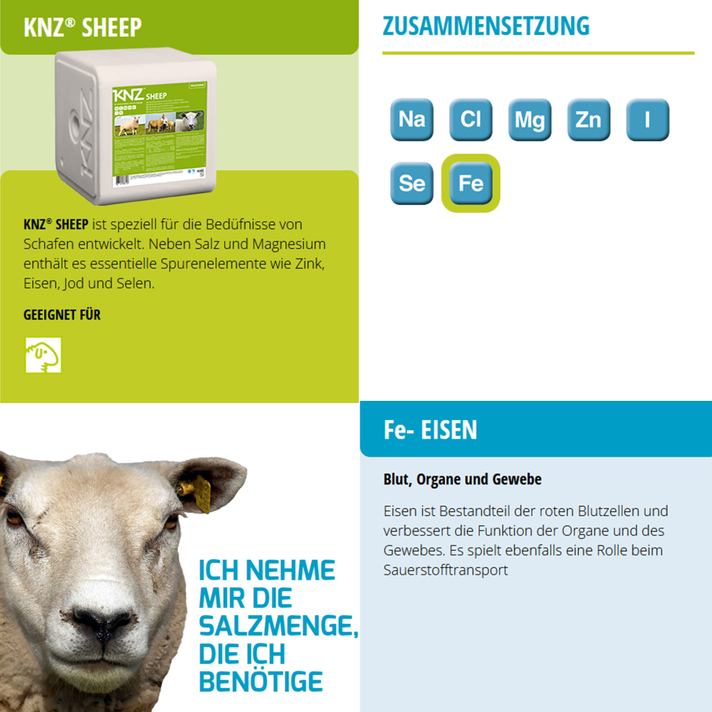 KNZ Sheep 10 kg Salzleckstein Schafe