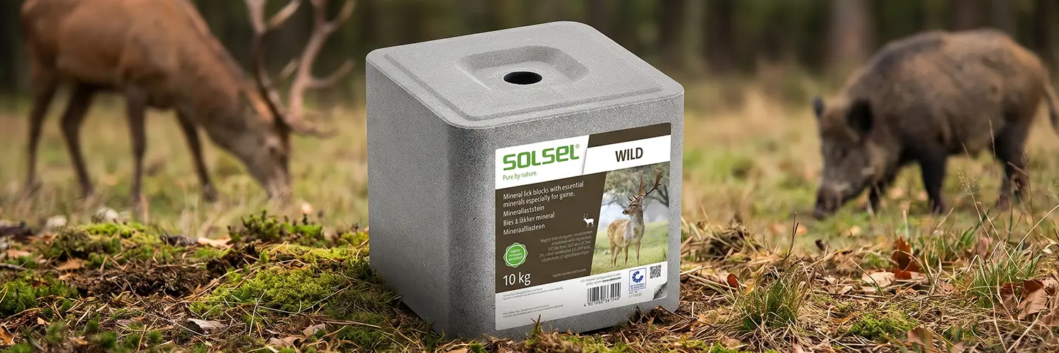 SOLSEL Wild Mineralleckstein