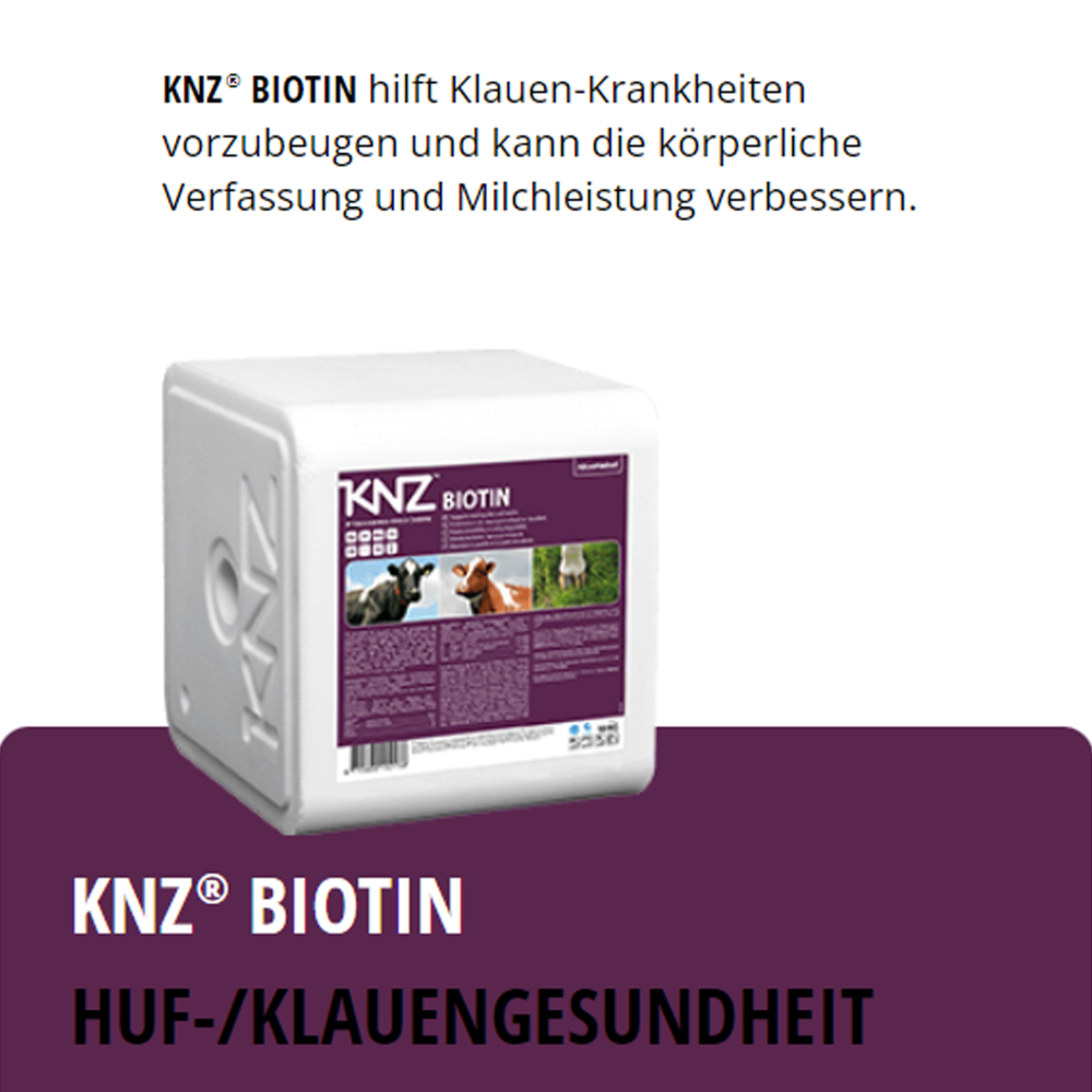 KNZ Biotin 10 kg Salzleckstein Huf und Klauentiere