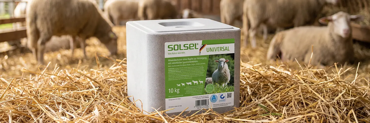 SOLSEL Universal Mineralleckstein ohne Kupfer